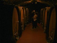 2015 Wein 197